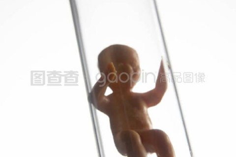 http://guangzhou.nbgk120.com/post/209.html|广州捐卵费用