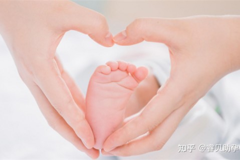 夏天广州捐卵宝宝发烧 莫要急
