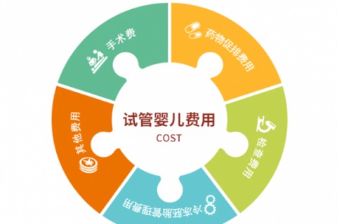 广州捐卵宝宝肚痛，父母该怎么办？